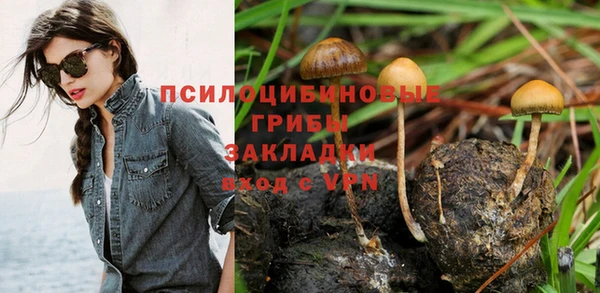 Альфа ПВП Волоколамск