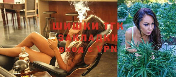 винт Вяземский