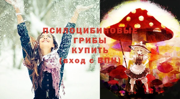 винт Вяземский